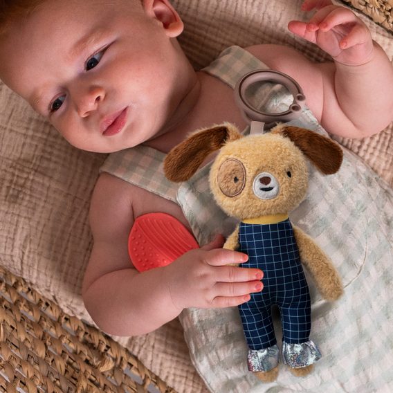 Taf Toys Závěsný chrastící Pejsek Daniel