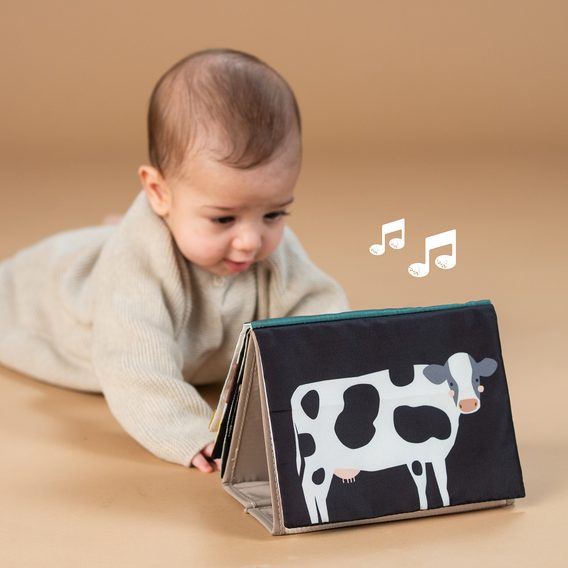Taf Toys Hudební knížka pro hru na bříšku Farma