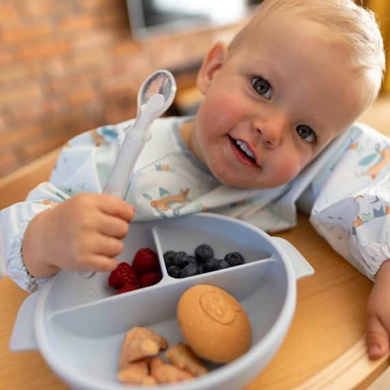 BabyOno Silikonový dělený talíř s přísavkou a víčkem MODRÁ
