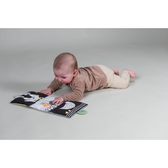 Taf Toys Sada hraček pro hru na bříšku