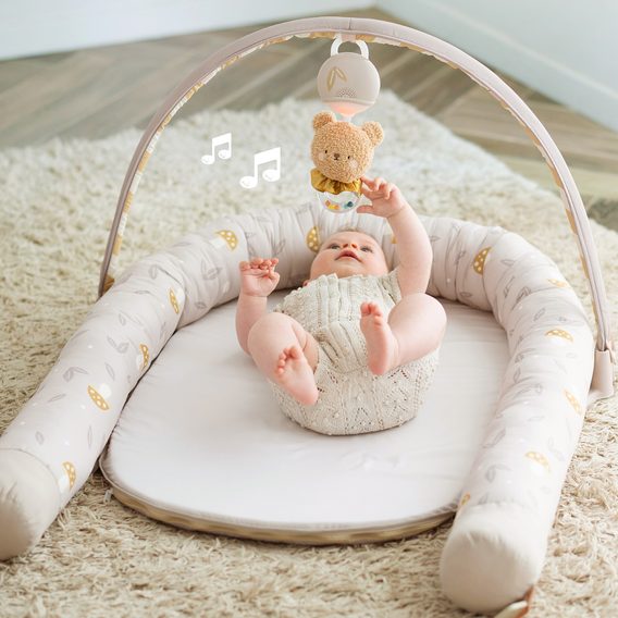 Taf Toys Hnízdo s hrazdou Little Explorer