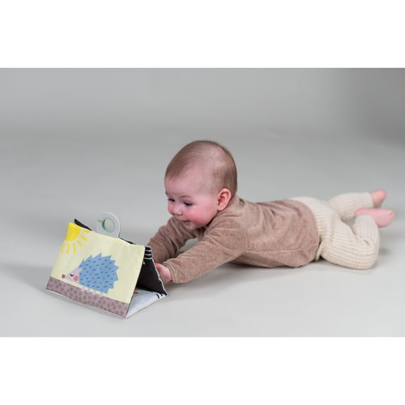 Taf Toys Sada hraček pro hru na bříšku