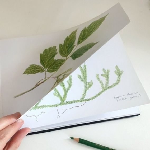 Makaszka Bambusová sada do postýlky "M" (100x135/60x40) HERBARIUM