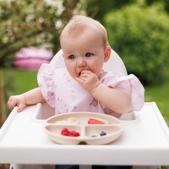 BabyOno Omyvatelný bryndák zástěrka 6m+ RŮŽOVÝ KYTIČKY