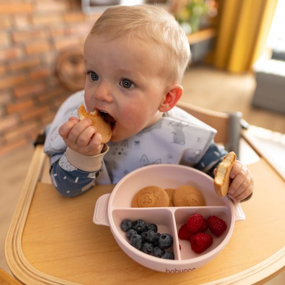 BabyOno Silikonový dělený talíř s přísavkou a víčkem RŮŽOVÁ