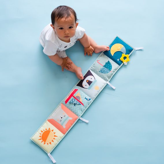 Taf Toys Knížka pro nejmenší Severní Pól