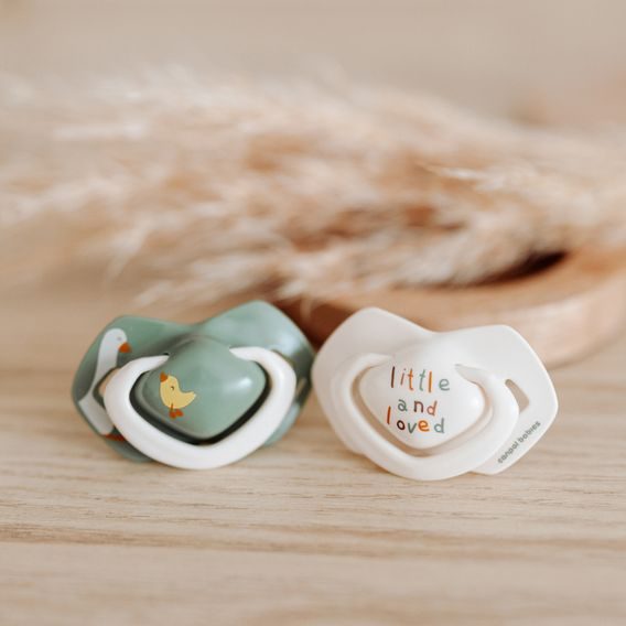 Canpol babies Dudlík 18m+ silikon symetrický 2ks GOOSE