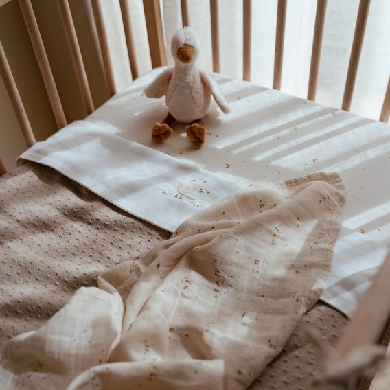 Little Dutch Plena zavinovací 120x120 cm Husa Newborn Naturals