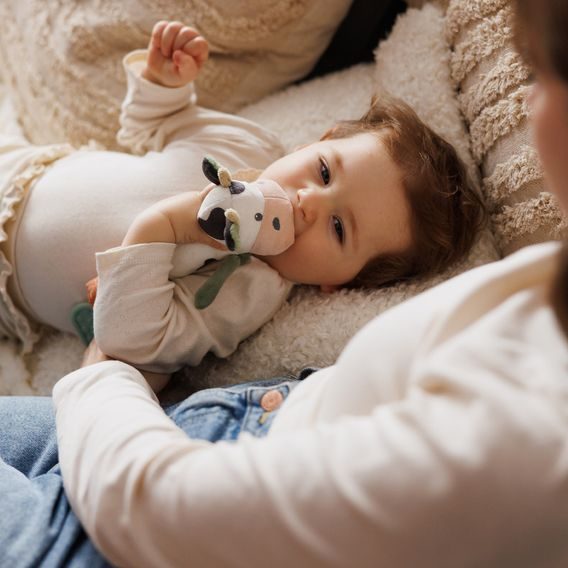 BabyOno Pískátko Kravička BINGO