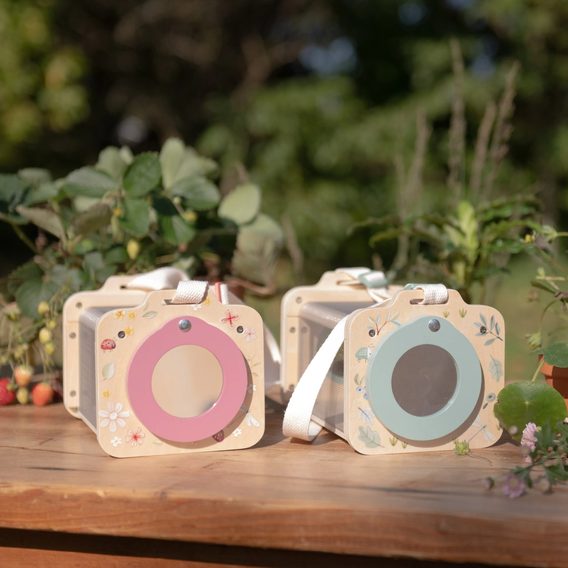 Little Dutch Box na prohlížení hmyzu dřevěný Forest Friends