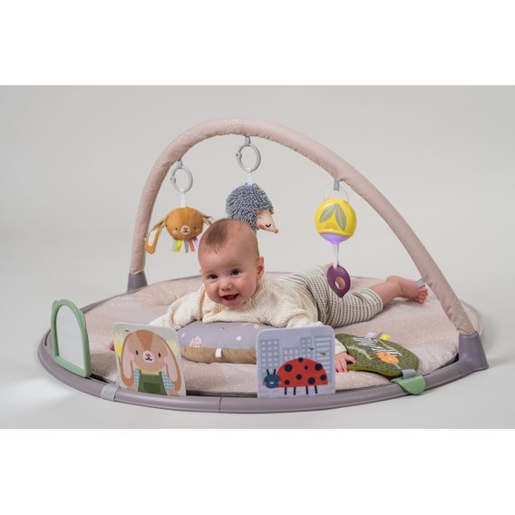 Taf Toys Hrací deka s hrazdou pro hru na bříšku