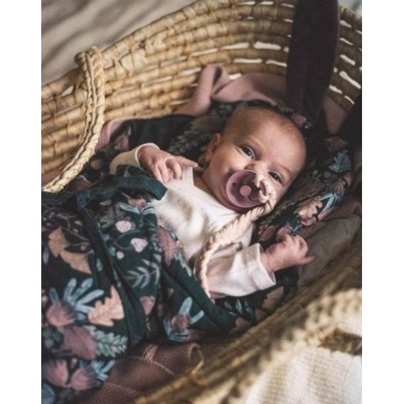 Makaszka Zavinovačka SAVANNA