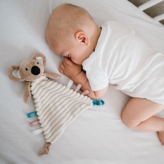 BabyOno Usínáček KOALA CHARLIE
