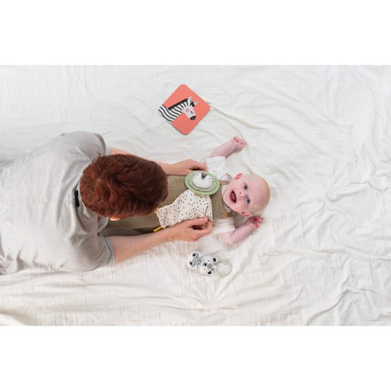 Taf Toys Sada hraček pro nejmenší Hello Baby