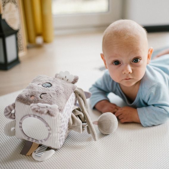 BabyOno Senzorická kostka KOALA COCO