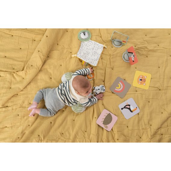 Taf Toys Sada hraček pro nejmenší Hello Baby