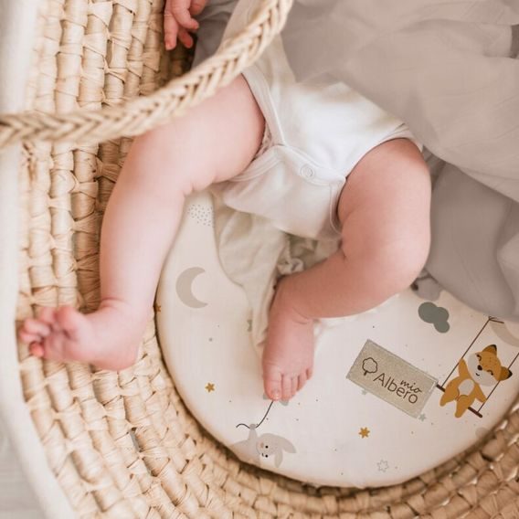 Albero Mio Prostěradlo do kočárku 2ks (W421) MOUSE