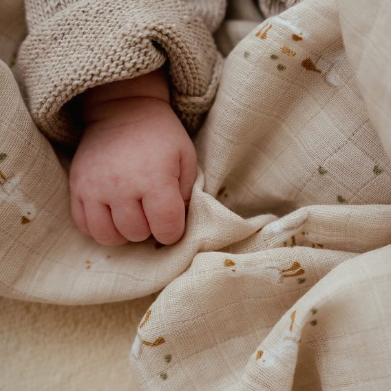 Little Dutch Plena zavinovací 120x120 cm Husa Newborn Naturals