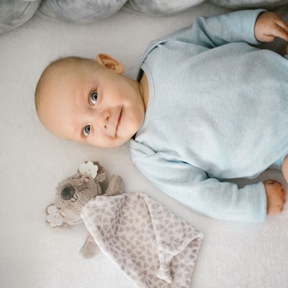 BabyOno Usínáček Koala COCO