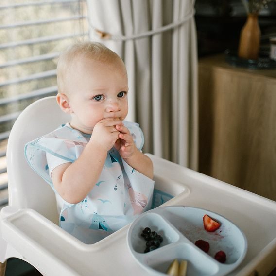 BabyOno Omyvatelný bryndák zástěrka 24m+ MÝVAL