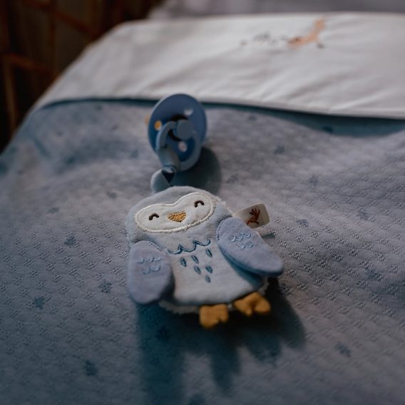 Little Dutch Muchláček na dudlík Sova Forest Friends