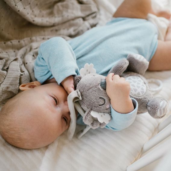 BabyOno Hrající Koala COCO