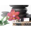 Samolepiaca tapeta červená orchidea so zen kameňmi