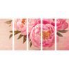 5-dielny obraz nádherná pivonka