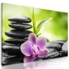 Obraz wellnes kamene v srdci prírody