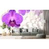 Samolepiaca tapeta fialová orchidea s abstraktným pozadím