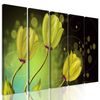5-dielny obraz kvety v luxusnom prevedení