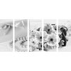 5-dielny obraz luxusné zátišie v čiernobielom prevedení