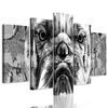 5-dielny obraz nahnevaný buldoček v čiernobielom prevedení