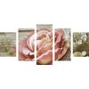 5-dielny obraz nádherná ružová ruža