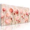 Obraz jemnosť staroružových tulipánov