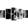 5-dielny obraz krásy abstraktných tvarov v čiernobielom prevedení