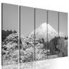 5-dielny obraz Japonská sopka Fuji v čiernobielom prevedení