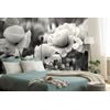 Nádherná čiernobiela samolepiaca fototapeta v objatí vlčích makov