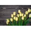 Samolepiaca fototapeta žlté tulipány v elegantnom prevedení