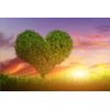 Samolepiaca tapeta nádherný strom v tvare srdca
