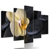 5-dielny obraz lávové kamene a zaujímavá orchidea