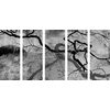 5-dielny obraz temné konáre stromu v čiernobielom prevedení