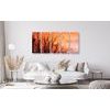 5-dielny obraz oranžová obloha