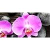 Obraz orchidea a Zen kamene na drevenom pozadí