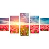 5-dielny obraz západ slnka nad rozkvinutými tulipánmi