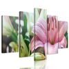 5-dielny obraz ľalia dlhokvetá