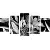 5-dielny obraz pôvabná maľovaná ľalia v čiernobielom prevedení