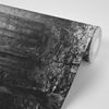 Originálna samolepiaca fototapeta čiernobiele zákutie lesa
