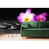 Tapeta relaxačné zátišie s orchideou