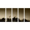 5-dielny obraz les pri západe slnka v sépiovom prevedení
